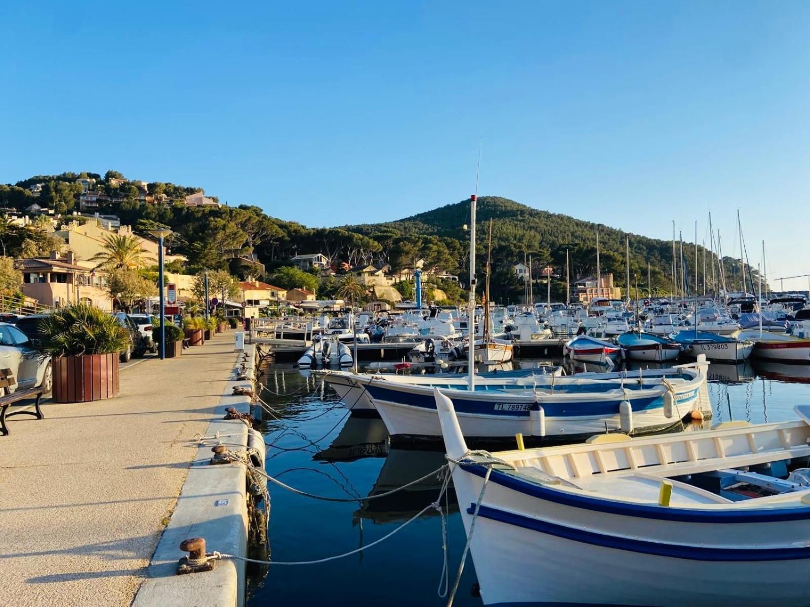Studio Cosy En Bord De Mer แซ็งต์-ซีร์-ซูร์-แมร์ ภายนอก รูปภาพ
